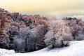 Paysage18_12_10 n01